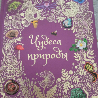 Бен Хоар: Чудеса природы. Энциклопедия