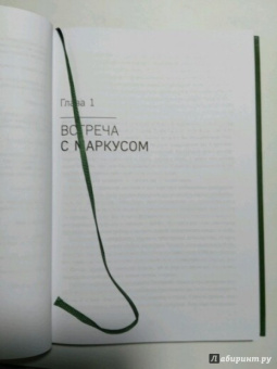 Йоси Гинсберг: Джунгли. В природе есть только один закон - выживание
