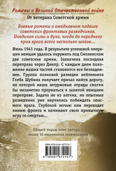 Александр Тамоников: Огненный тыл