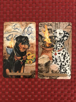 Мюллер, Курара: Таро магических собак + Таро Театр кукол (6080)