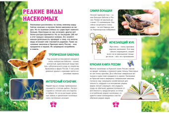 Насекомые. Детская энциклопедия