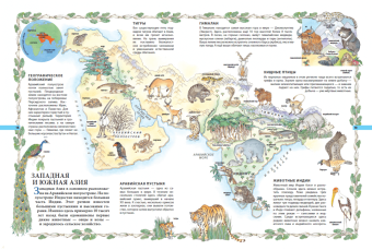 Мир животных в картинках