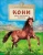 Майя Лазаренская: Кони. Дикие, благородные, знаменитые
