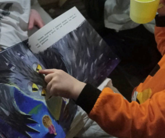 Александра Хворост: Как приручить Пыхлера