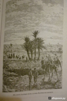 Рид Майн: Пиратский остров. Молодые невольники