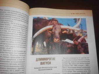 Журнал "Наука и жизнь" № 2. 2021