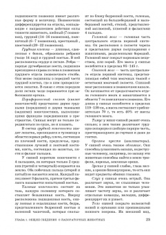 Стекольников, Щербаков, Яшин: Лабораторные животные. Учебное пособие для вузов