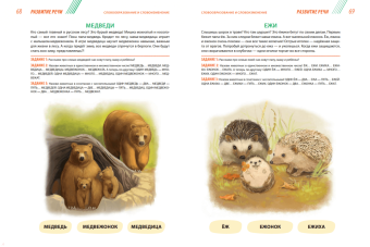 Елена Янушко: Годовой курс развивающих занятий для детей от 4 до 5 лет