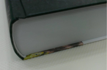 Эдуард Асадов: Полное собрание стихотворений в одном томе