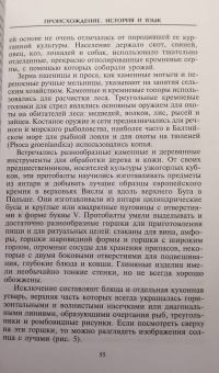 Мария Гимбутас: Балты. Люди янтарного моря