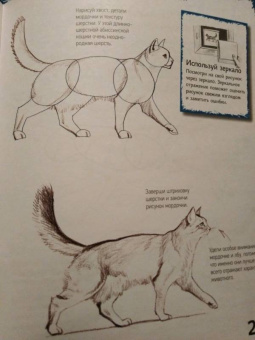 Марк Берджин: Школа рисования. Кошки