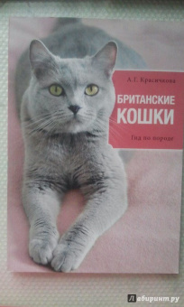 Анастасия Красичкова: Британские кошки. Гид по породе