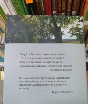 Афанасий Фет: "На заре ты ее не буди..."