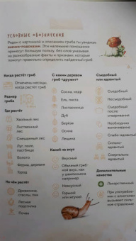 Михаил Вишневский: Грибы. Атлас-определитель