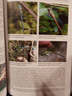 Онишко, Костерин: Стрекозы России. Иллюстрированный атлас-определитель