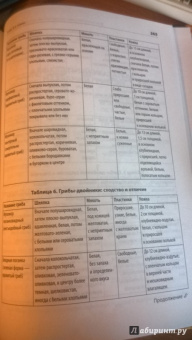 Алексей Колядов: Грибная охота. Советы опытного грибника