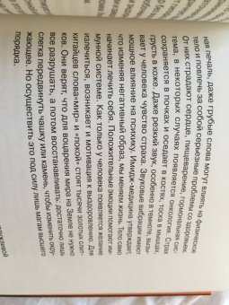 Лейла Александер-Гаррет: Четыре столицы и один любимый Шарик