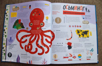 Пинтос, Ианнуззи: Как спит пчела? Удивительные факты о животных и их суперспособностях