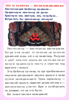 Г. Попова: Слогочиталка. Секреты природы. Рассказы о букашках. ФГОС ДО