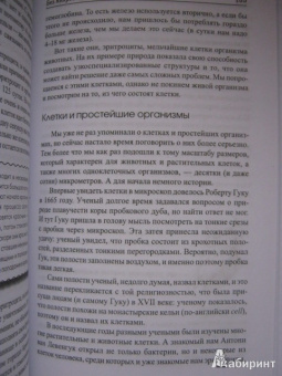 Антон Малютин: Микромир и макромир
