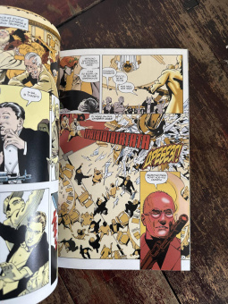 Алан Грант: Бэтмен. Тень Летучей Мыши. Ядовитый Плющ. Год 1-й