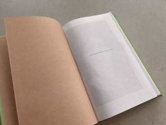 Эмили Бронте: Грозовой перевал