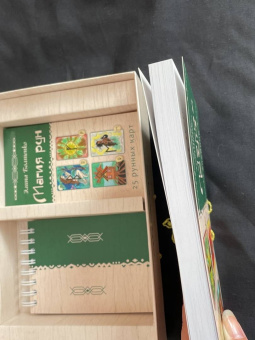 Элина Болтенко: Магия рун. 25 рунных карт и учебник