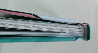 Пол Тобин: Растения против зомби. Переполох на озере