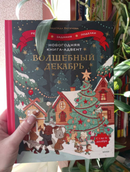 Надежда Бегичева: Волшебный декабрь. Новогодняя книга-адвент. Рецепты, задания, поделки. С 1 по 31 декабря