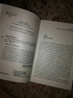 Чарльз Мартин: Ловец огней на звездном поле