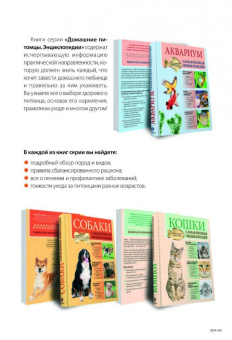 Арсений Нестеров: Мопсы, йорки и другие собачки той-пород