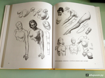 Эндрю Лумис: Искусное рисование