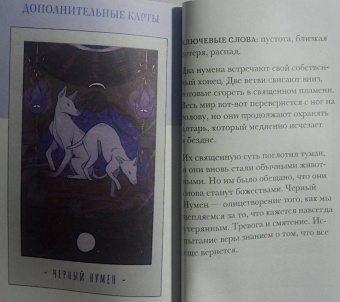 Альба Гонсалез: White Numen. Таро Белого Божества. 80 карт + руководство