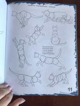 Марк Берджин: Школа рисования. Кошки