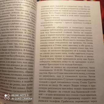 Ю Несбё: Немезида