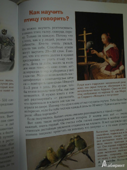Светлана Лаврова: Домашние животные