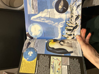 Анна МакРей: Океаны и моря. Виртуальная реальность