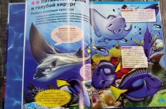 Кармен Родригес: Подводный мир. Большая детская энциклопедия