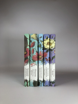 Эмили Бронте: Грозовой перевал