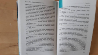 Питер Хёг: Смилла и ее чувство снега