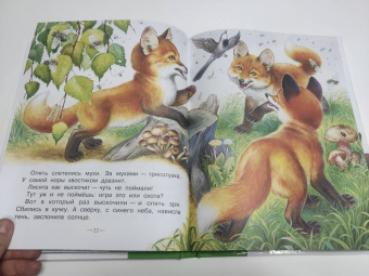 Николай Сладков: Бюро лесных услуг