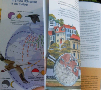 Юлия Смирнова: Природа в городе