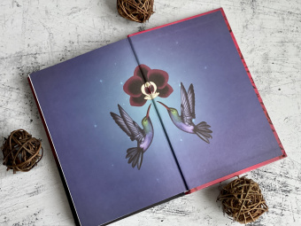 Зорайда Кордова: Наследие Божественной Орхидеи