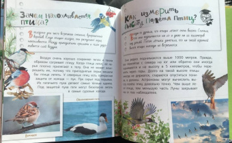 Танасийчук, Волцит, Альтшулер: Почемучкины сказки о животных