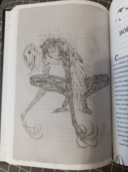 Анастасия Князь: Скиталец. Страшные сказки