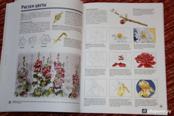 Лучшие уроки. Рисуем акварелью