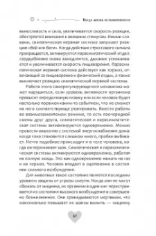 Свагито Либермайстер: Когда жизнь останавливается. Травма, привязанность и семейная расстановка
