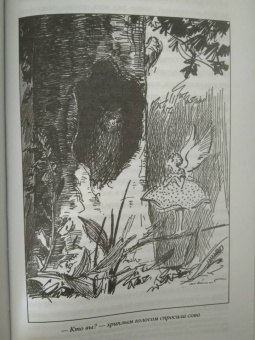 Александр Дюма: Сказки Арамиса