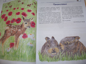 Уте Людвиг-Кайзер: Мои первые уроки рисования. Рисуем зверюшек!