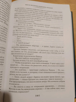 Аркадий Вайнер, Георгий Вайнер: Место встречи изменить нельзя. Гонки по вертикали